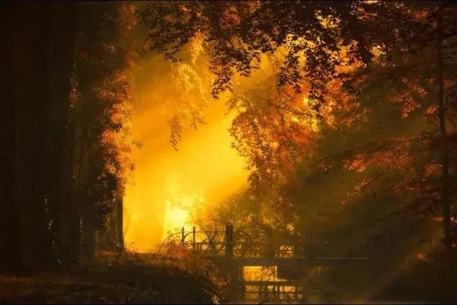 世界很大，相遇不易，请好好珍惜