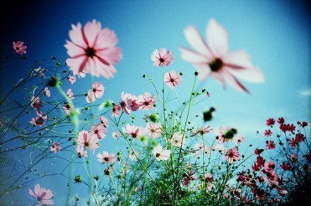 微信感悟人生的经典短语,感触很深 微信感悟人生的经典短语,感触很深