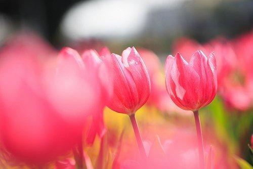 朋友圈充满正能量的情感语录