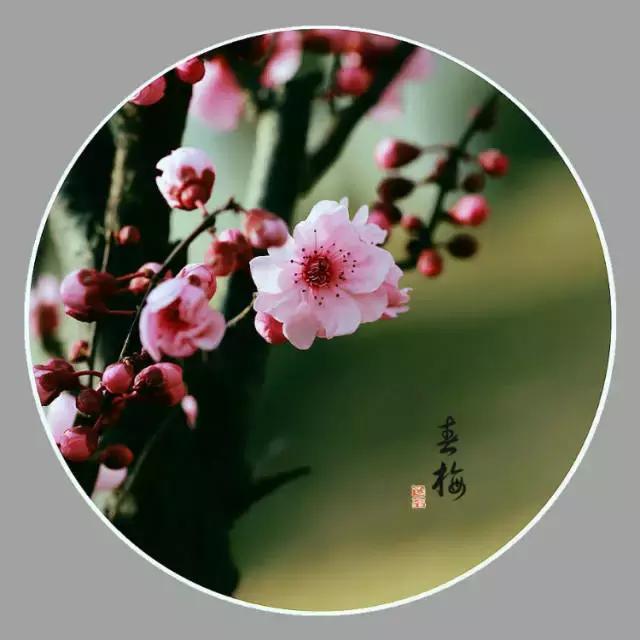 能打开任何人心结的一段话（值得收藏）