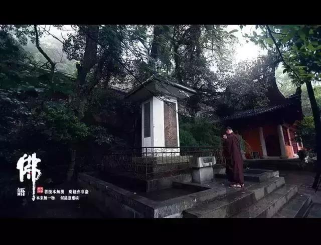 仓央嘉措的回声: 你的心,在污泥里开出一朵莲花 仓央嘉措的回声: 你的心,在污泥里开出一朵莲花