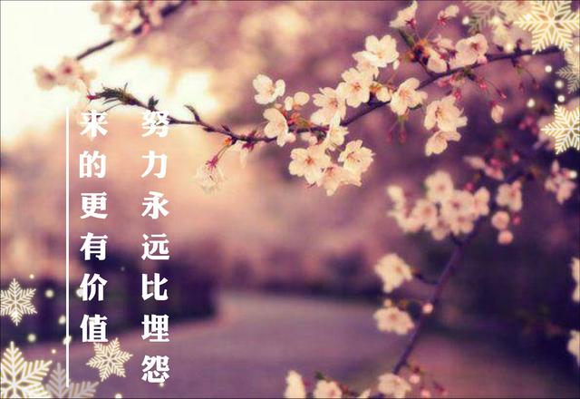 忍得住困苦的折磨，放得下挽留不了的美好