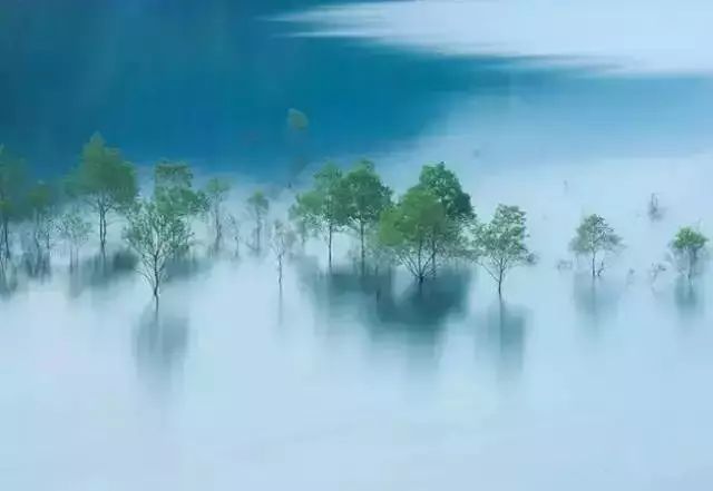 生活，浓淡相宜；人心，远近相安
