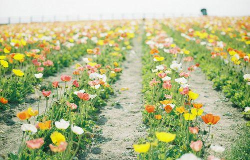 一些充满正能量的经典语录