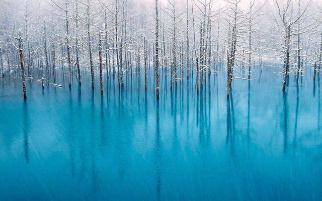 毕淑敏醒世经典语录