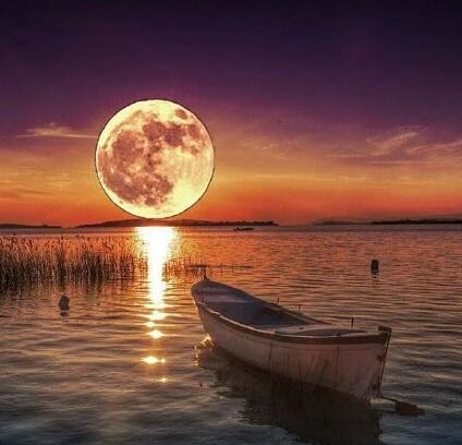 从三毛的经典美句中，感受她如水般的柔情