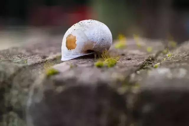 心情不好的时候，读一读（瞬间醒脑）