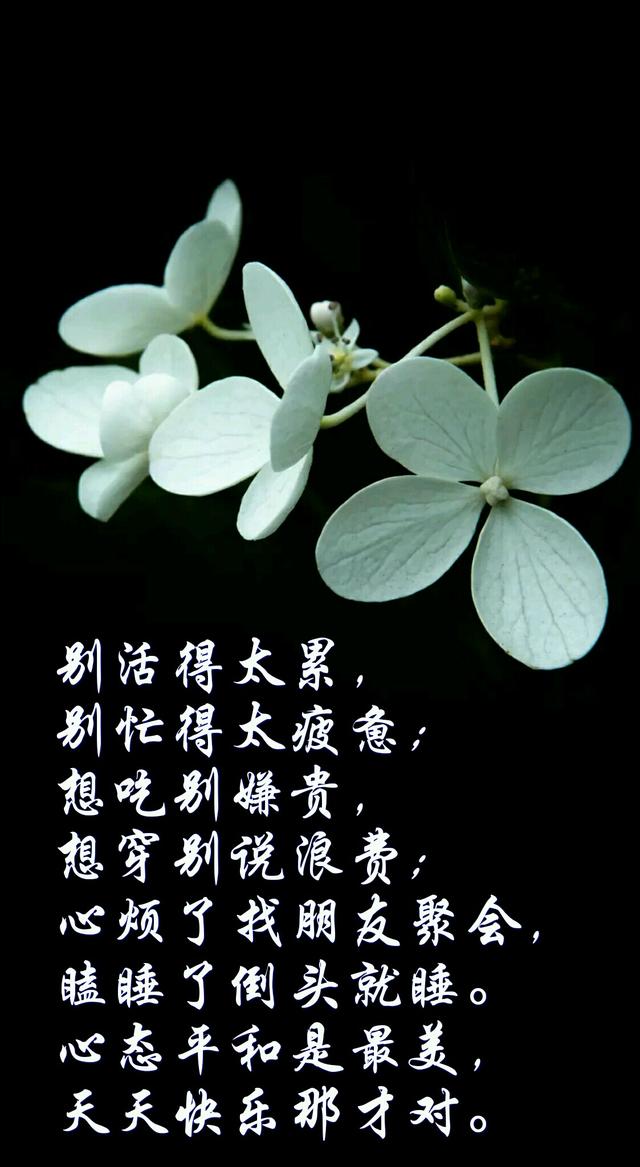 人生感悟：岁月安好，静默如初