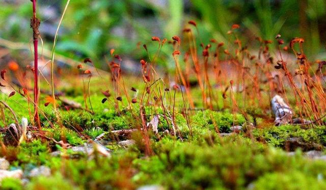 学会放弃，不是放屁（精辟）