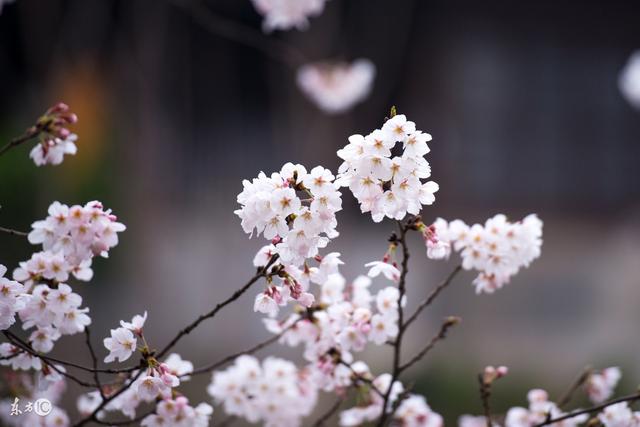 人的一生，是生不带来死不带去的一生（精辟）