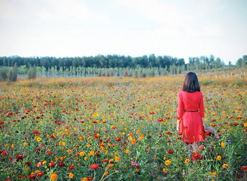 2017qq经典的一句话语录