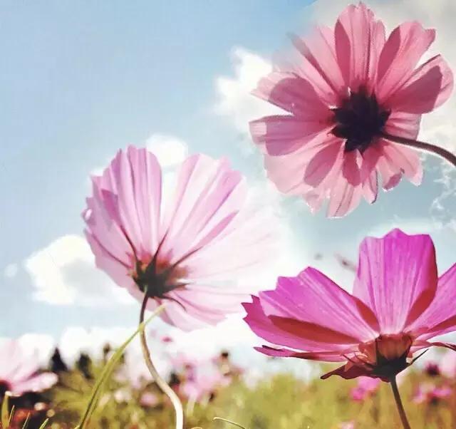 我允许任何事情的发生