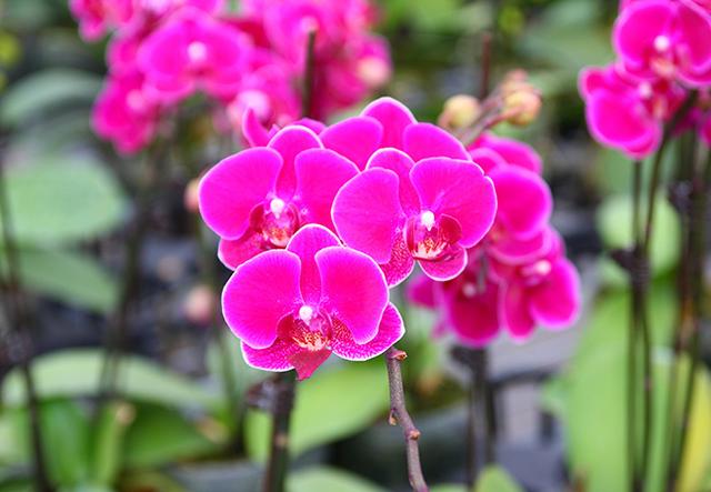 平凡的日子，也有别样的精彩