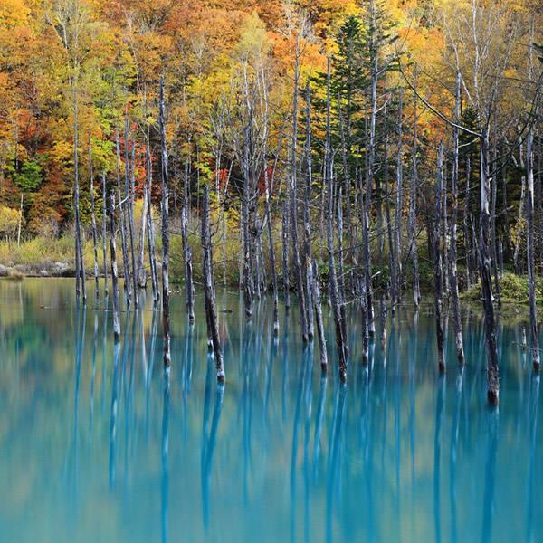 毕淑敏醒世经典语录