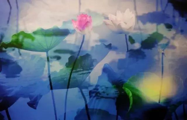 人生之大境界：心如莲花，念如菩提