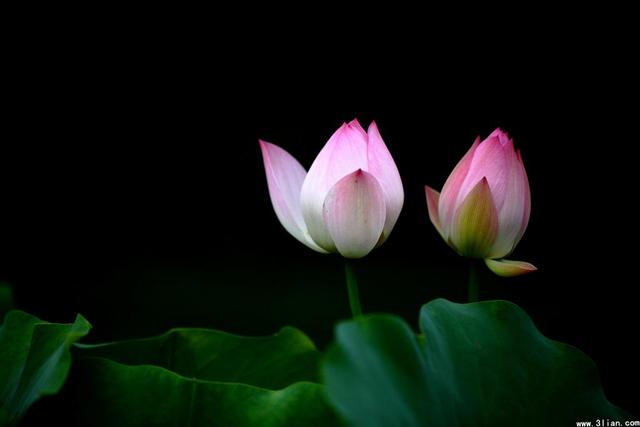 做人需牢记这六不要