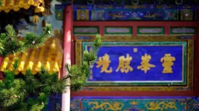 人品，是一个人最硬的底牌