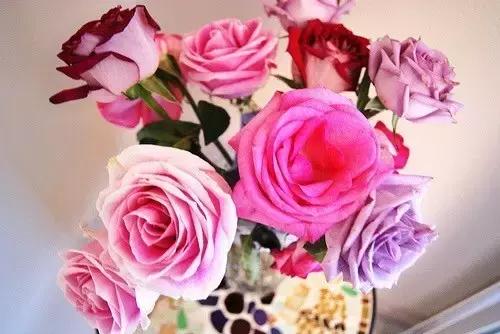 一生何求?(醒脑好文) 一生何求?(醒脑好文)