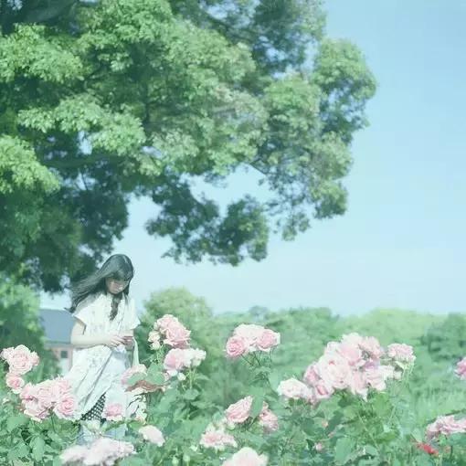 你惹我生气，我偏要争气