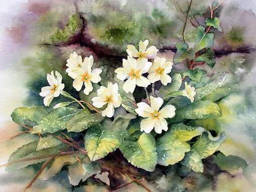 三岛由纪夫:洁癖是一种受欲望指使的任性 三岛由纪夫:洁癖是一种受欲望指使的任性