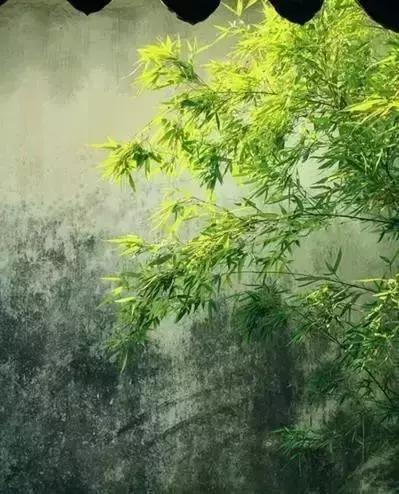 做人7+1，看懂就是福气