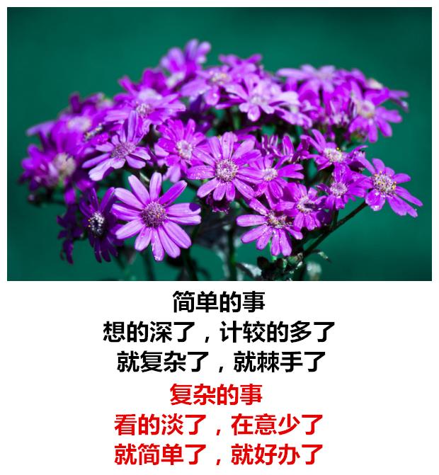 生活有苦有甜，爱情有闹有和，心情有悲有喜，日子有阴有晴