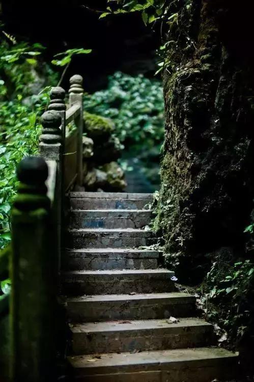 珍惜生命的美好
