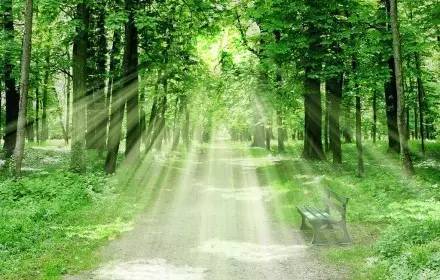 大度看人生，从容过日子