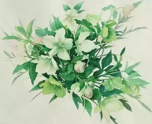 留一份宽容，与你两两相安