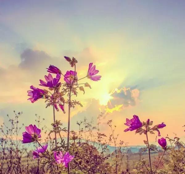 我允许任何事情的发生