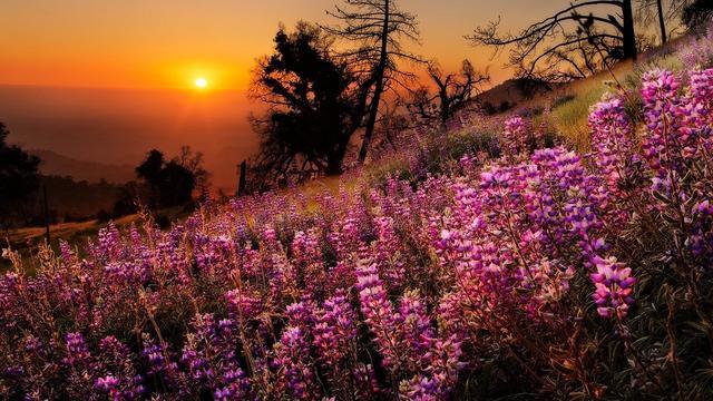 感情世界里的十句箴言