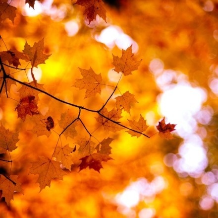 看得透想得开，拿得起放得下