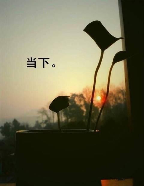既励志又治愈的语录