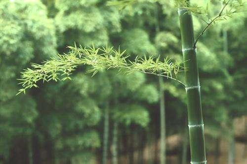 教你看透人心，懂得人性