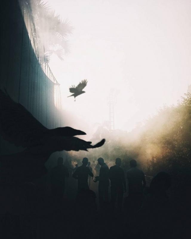 《1Q84》语录：有希望之处定有磨练