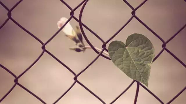 人生过半，回头看看……