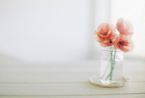 微信里最温馨唯美的爱情语录