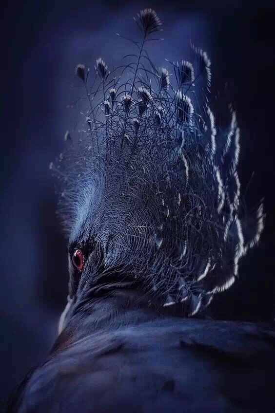 坦然面对人生的悲与欢