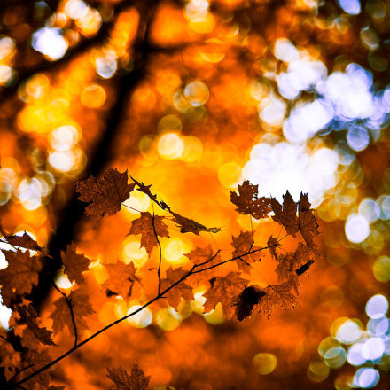 看得透想得开，拿得起放得下