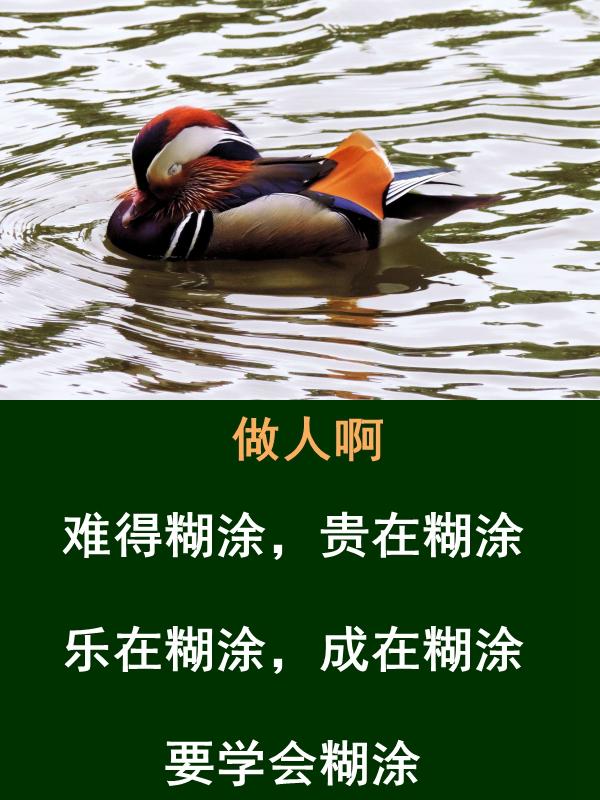 做人，难得糊涂，贵在糊涂，乐在糊涂，成在糊涂，学会糊涂