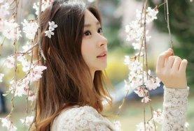 友谊（美文）