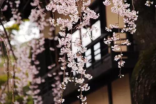 修行是修自己,不是修别人 修行是修自己,不是修别人