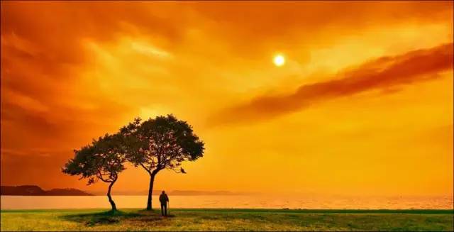 人生，就是一场遇见（字字写到心窝里了）