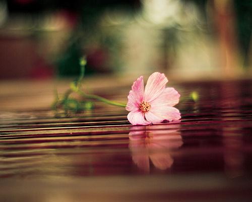 正能量激励人的句子 正能量激励人的句子