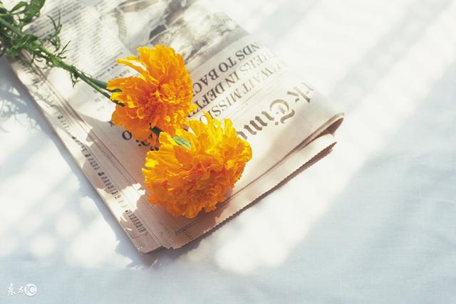 岁月红尘心中放,尘世坎坷皆过往 岁月红尘心中放,尘世坎坷皆过往