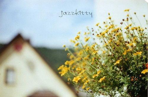 朋友圈里最火的人生感悟语录