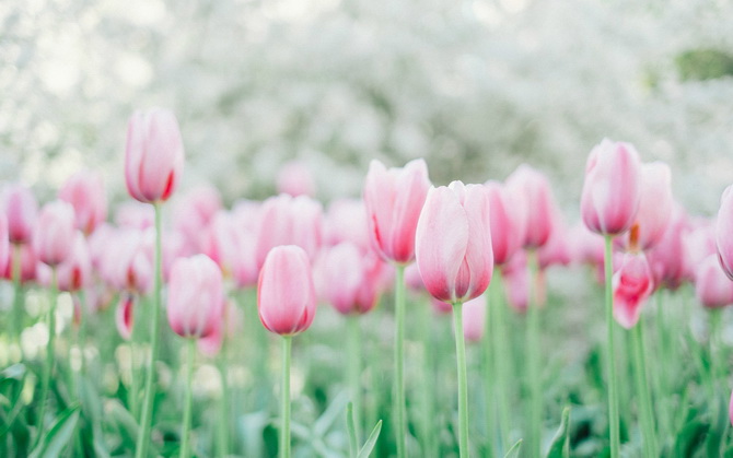 让你相见恨晚的网络经典语录 让你相见恨晚的网络经典语录