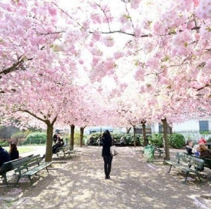 静心做事，常心为人