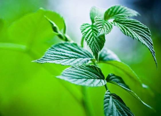正能量优美哲理文字心情语录