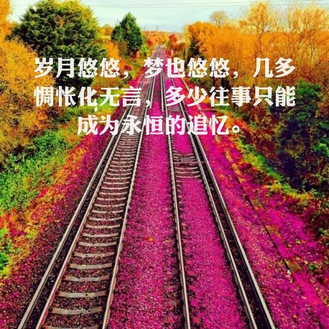 没有谁能够同情和分担你的悲切